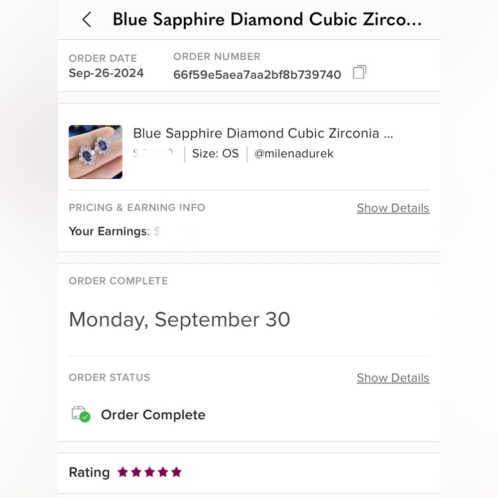 Blue Sapphire Diamond Cubic Zirconia Silver Stud Earrings - Picture 7 of 7